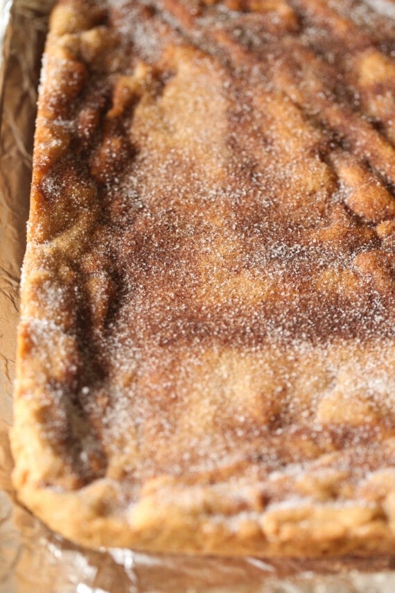 Cinnamon Sugar coated sugar cookie bars baked in a 9x13 pan.