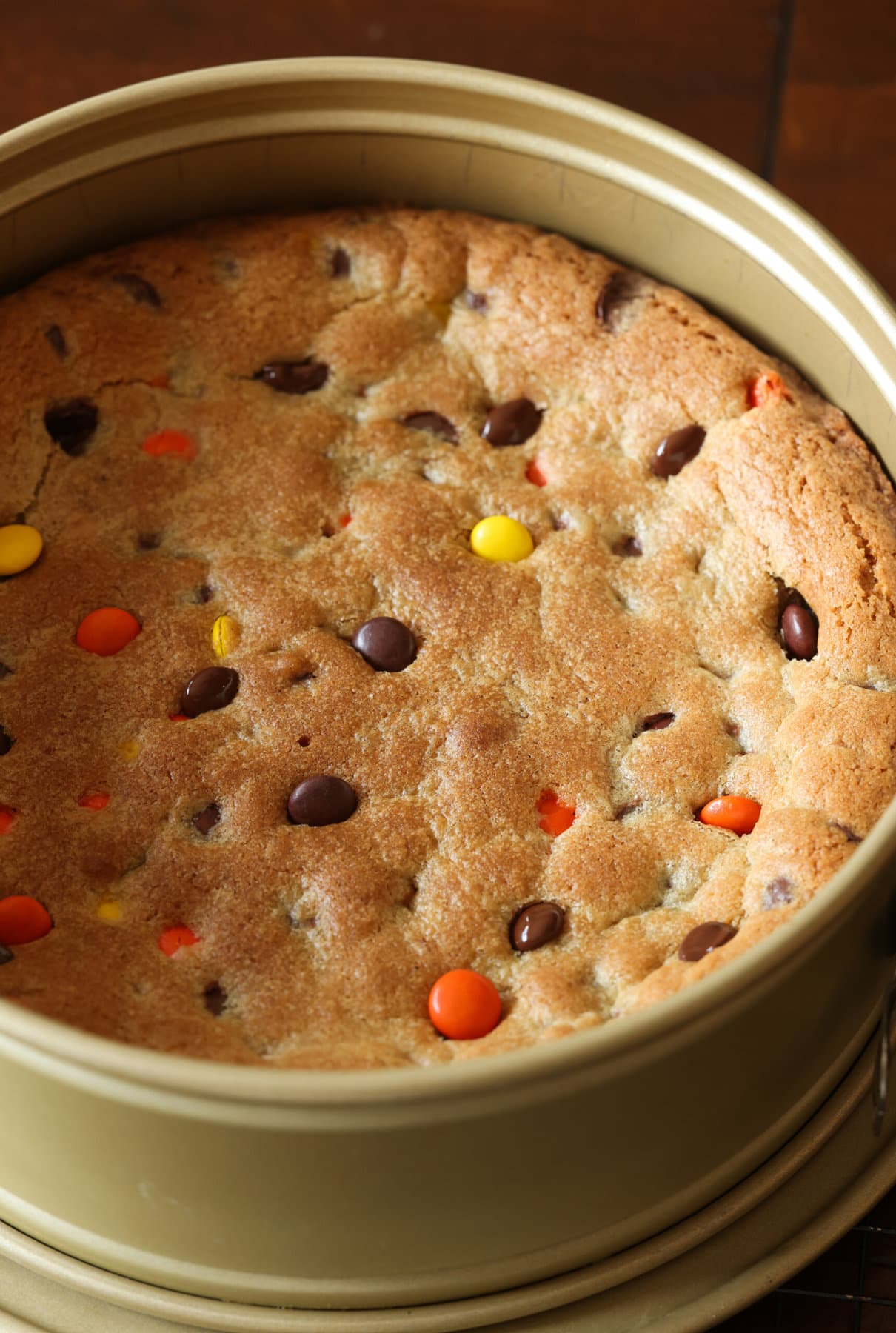 a cookie cake baked in a springform pan