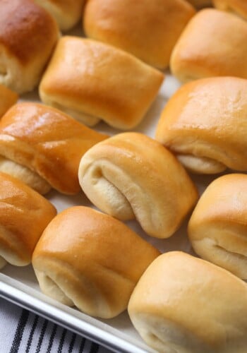 Rows of baked Parker House rolls on a baking sheet.